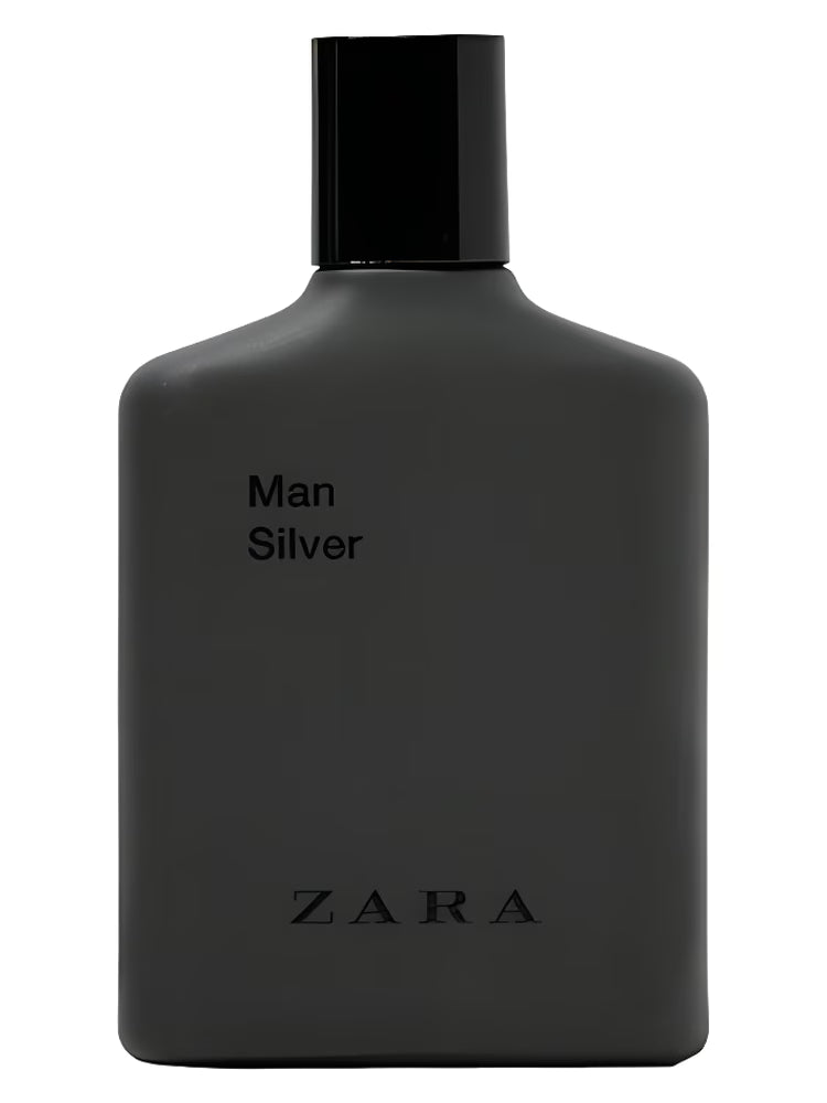 Zara - Man Silver